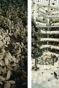 Shanghai Green and Shopping Mall Plaza 66