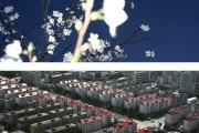 Shanghai Flowers and Housing Pudong Style