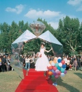Shanghai Mass Wedding, Fuxing Park