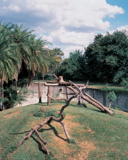 Brasilia, Zoo