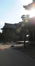 Kyoto Tofukuji Tempel
