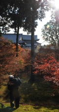 Tofukuji temple cleaning, Kyoto