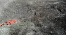 Red leaves on stone, Kyoto