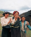 Women taking care of her Yaks, mountain side, Tagong Sichuan