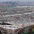 Sosc construction site, venues for the 2011 Swimming World Championships Competition, architects gmp, Shanghai